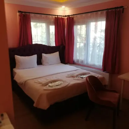 Alesta Butik Hotel *
