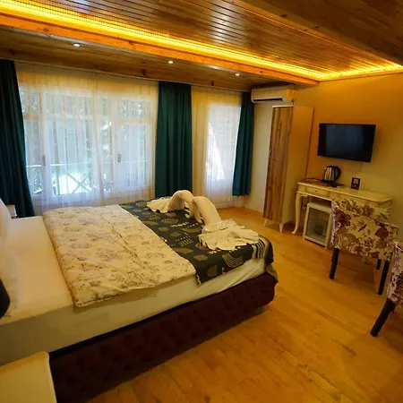 Alesta Butik Hotel *