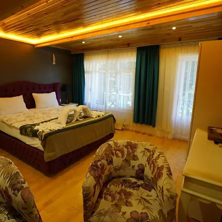 Alesta Butik Hotel *
